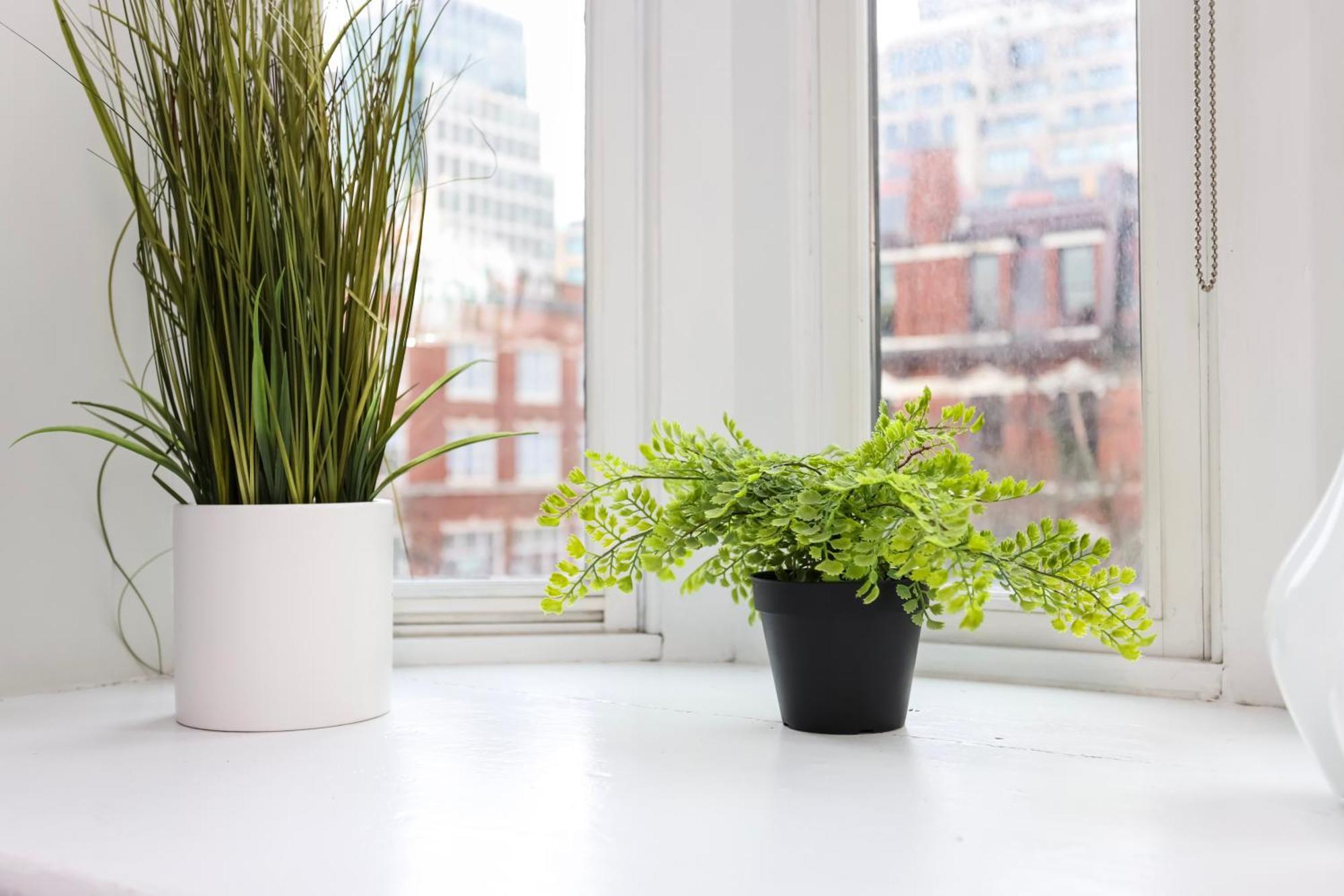 Stylish Studio On Newbury St #3 Boston Eksteriør bilde